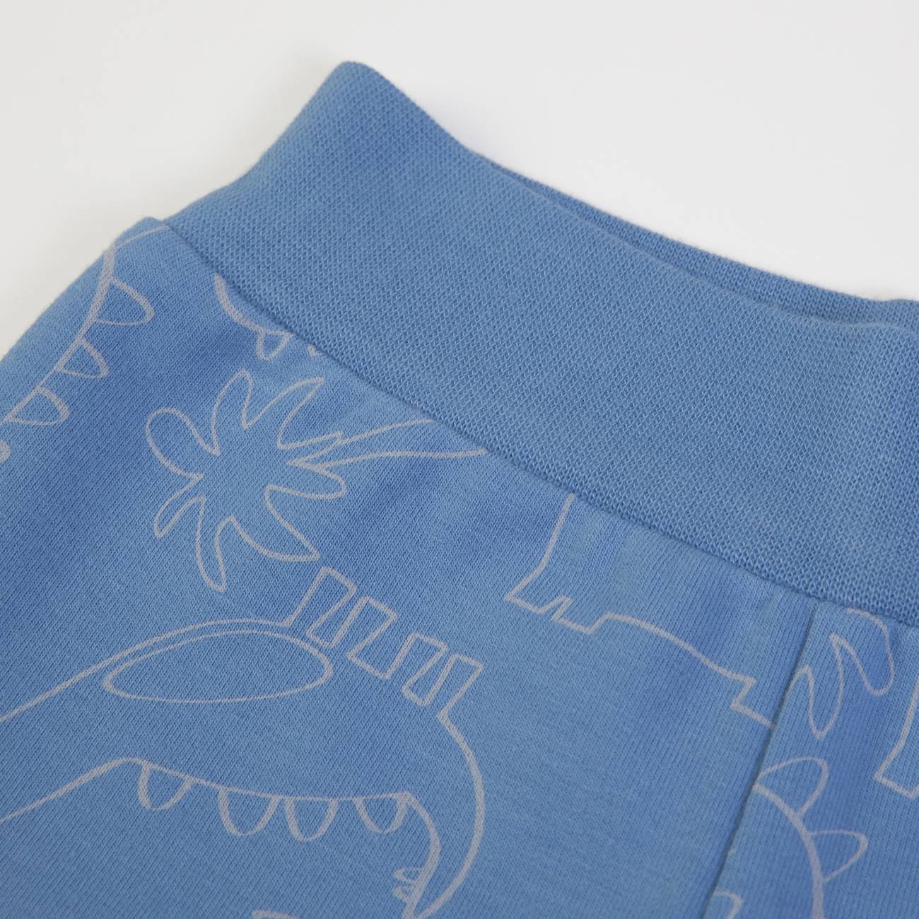 FS BABY Organic Set Blouse + Pants “Dinosaur”